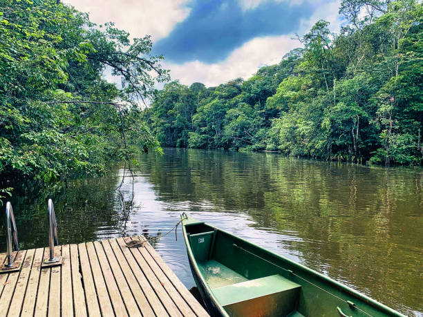 Une barque sur un fleuve dans une forêt